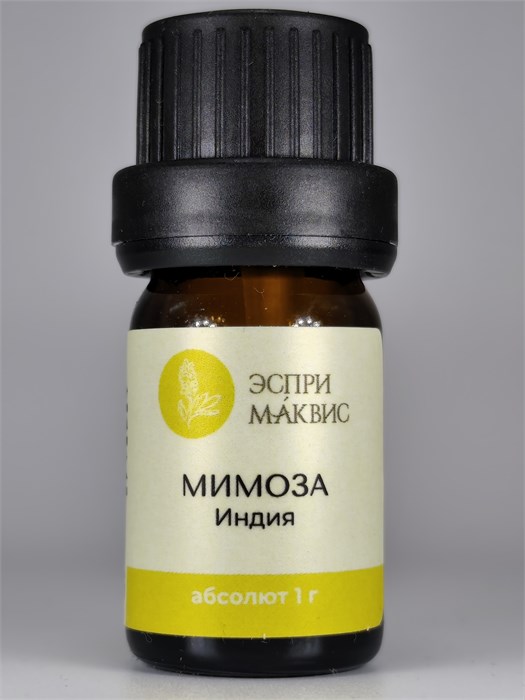Мимозы абсолют