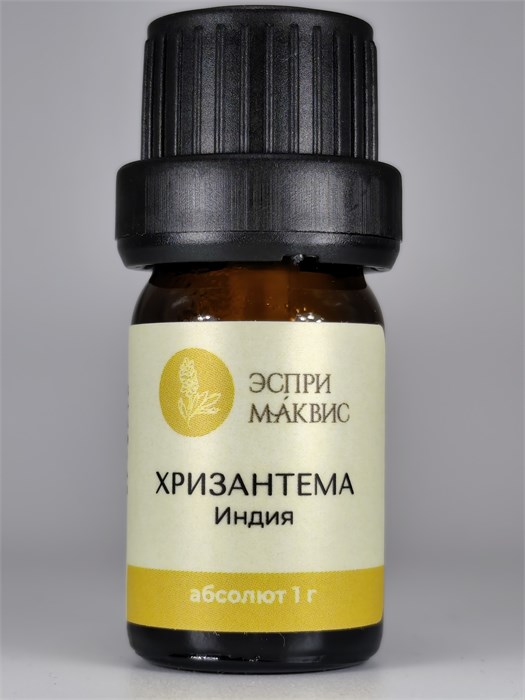 Хризантемы абсолют