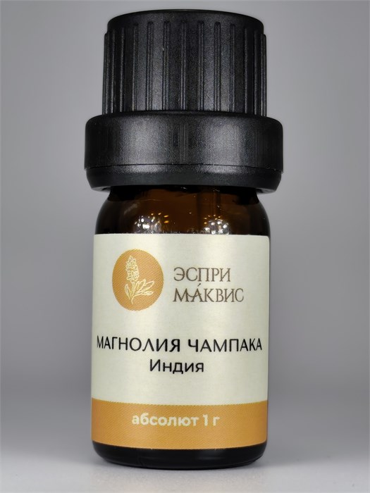 Магнолии чампаки абсолют