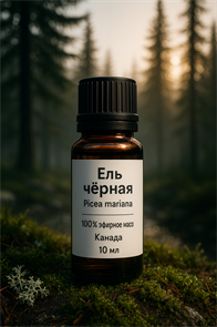 {{productViewItem.photos[photoViewList.activeNavIndex].Alt || productViewItem.photos[photoViewList.activeNavIndex].Description || 'Ель черная эфирное масло (БИО)'}}