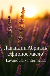 {{productViewItem.photos[photoViewList.activeNavIndex].Alt || productViewItem.photos[photoViewList.activeNavIndex].Description || 'Лавандина Абриаль эфирное масло (БИО)'}}