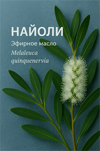 Найоли эфирное масло БИО, Эспри Маквис