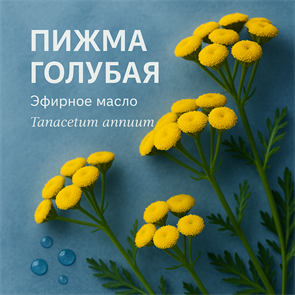 Пижмы голубой эфирное масло БИО, Эспри Маквис