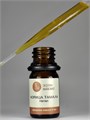 Цвет эфирного масла корицы тамалы (Cinnamomum tamala oil color)
