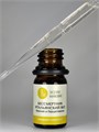 Цвет эфирного масла бессмертника итальянского (Босния), Helichrysum Italicum oil color (Bosnia)