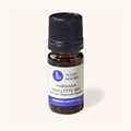 Лаванда французская Майллетте (Maillette) BIO, Lavandula angustifolia, эфирное масло натуральное 100%, Прованс 1751